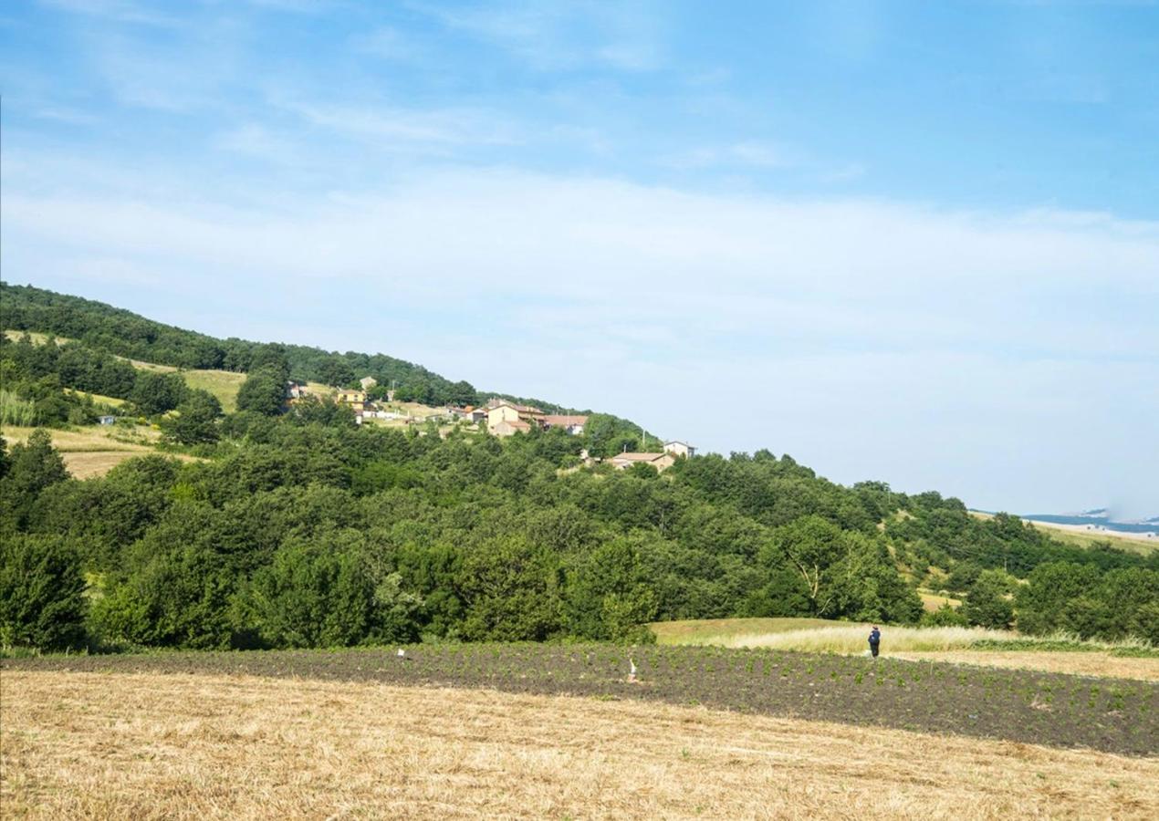 Le Pitture Casa Di Campagna Filiano Kültér fotó