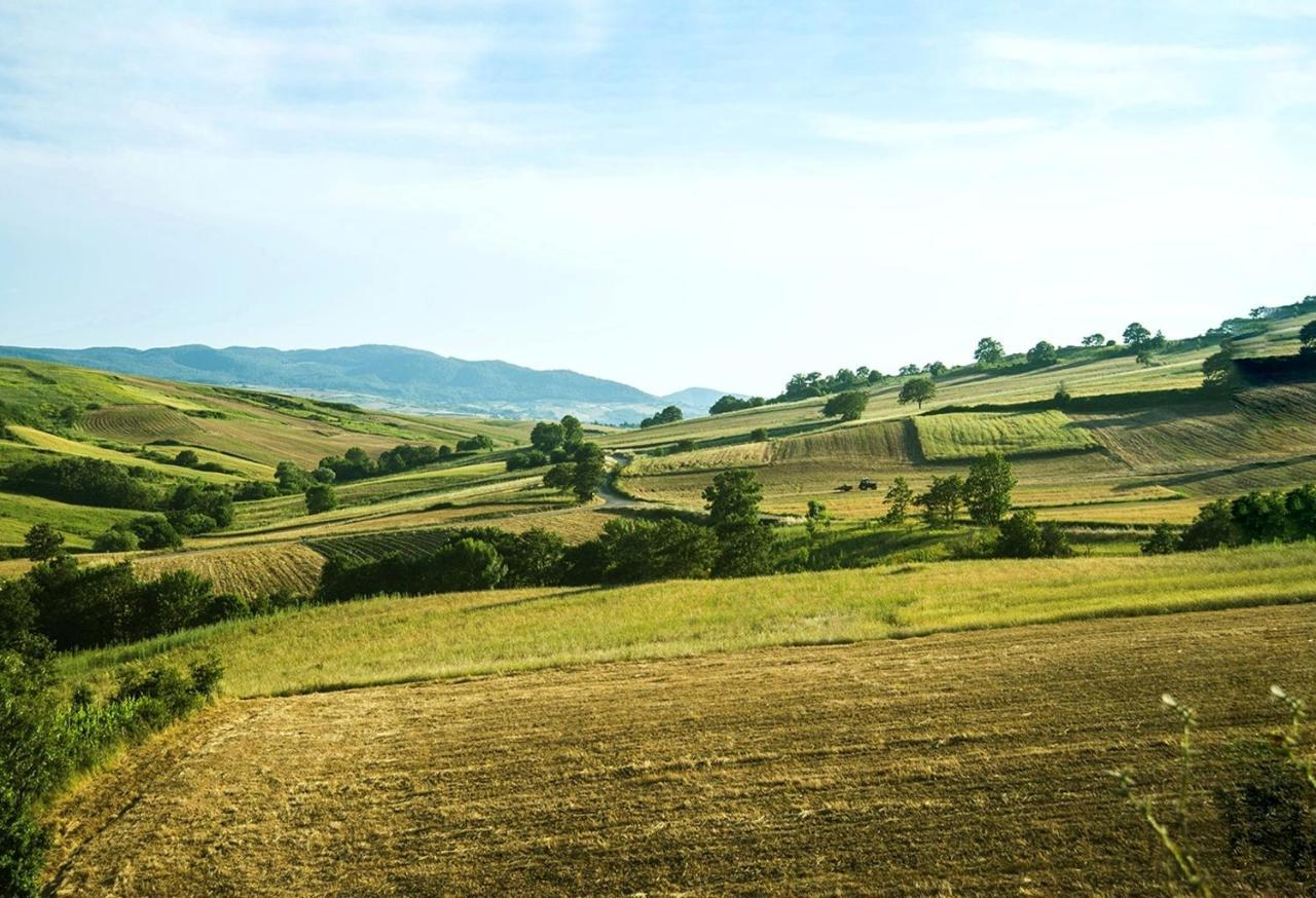 Le Pitture Casa Di Campagna Filiano Kültér fotó